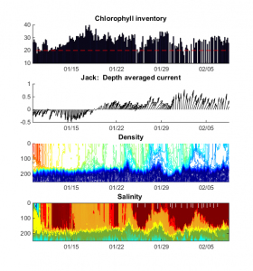 Time-series of Jack's measurements