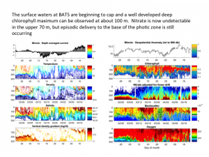 Time series of the water column at BATS (0-300 m)