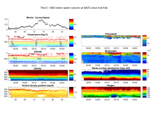 Time series of the water column at BATS (0-900 m)