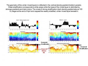 Time series of currents, temperature, and stratification