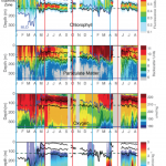 Time series of glider measurements
